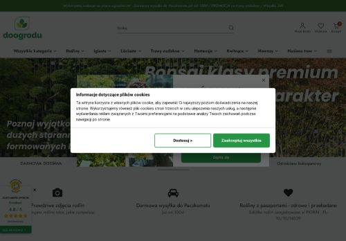 PIOTR MIKOŁAJCZYK „QUERCUS MIKOŁAJCZYK”